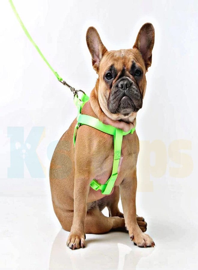 KsPups Nylon Adjustable Leash with Harness Set 0.5 Inch Puppy Harness for Small & Medium Dogs - 15 MM (Available As Per Color) - Image 2